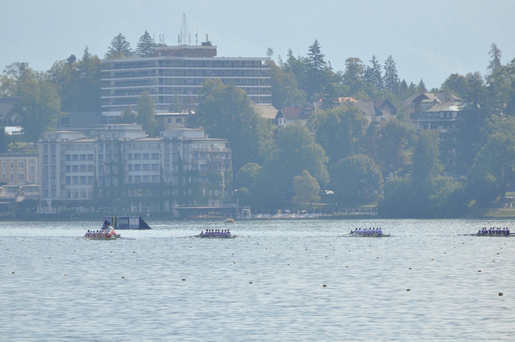 Men s Eights with Bled in the Background